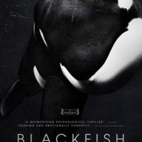 Blackfish: Who’s the Real Beast?