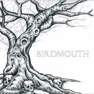 Daily Bandcamp Album; Birdmouth by Birdmouth