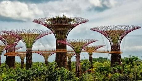 The Supertrees Of Singapore