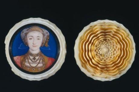 anne of cleves rose