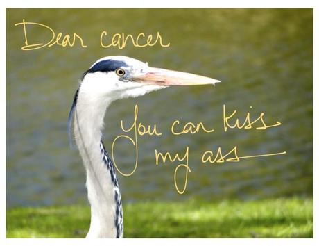 Dear cancer, you can kiss my ass