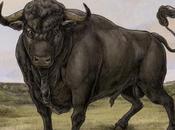 Fermin’s Self Titled