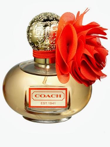 Top 5 Fragrances for Fall