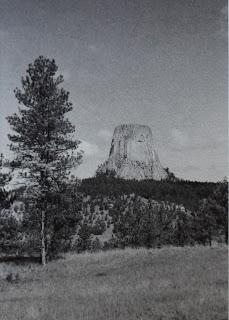 Grassland, Forest and an Igneous Intrusion