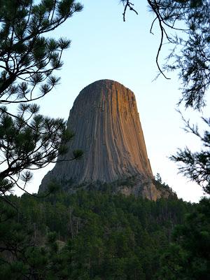 Grassland, Forest and an Igneous Intrusion