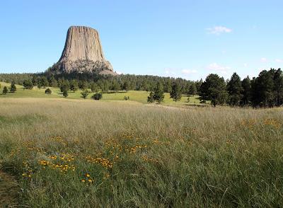 Grassland, Forest and an Igneous Intrusion