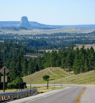 Grassland, Forest and an Igneous Intrusion