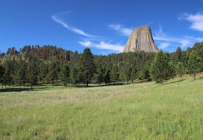 Grassland, Forest and an Igneous Intrusion