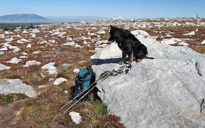 Missing Rocks Found