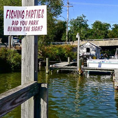 chesapeake tidewater maryland