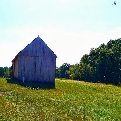 chesapeake tidewater maryland