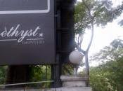 Amethyst Café, Chennai: Nature’s Opulence Heart City