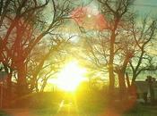 What Learning About “Courageous” Self…. (When Transition…)