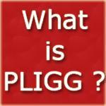What is PLIGG CMS ?