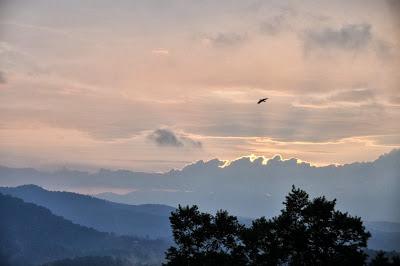 Shy Sunrise...with Crows