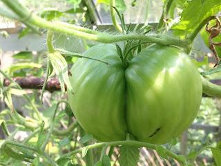 You say tomato, I say passata