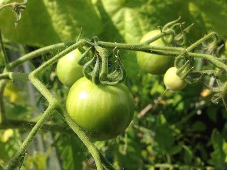 You say tomato, I say passata