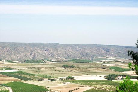 Landscape crop from La Bastida in Moixent