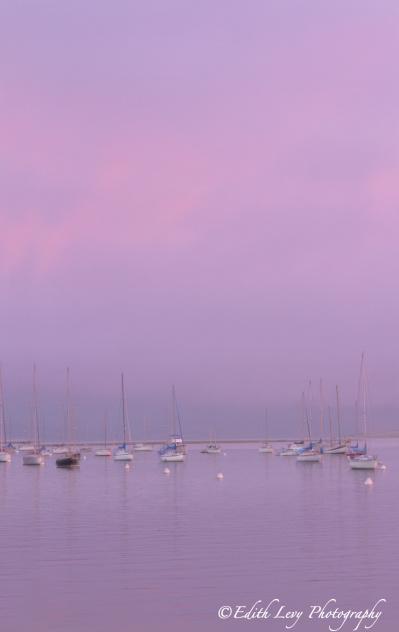 Morro Bay, California, marina, sunset, boats, water, glow, purple, pacific coast