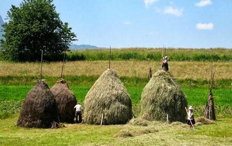 The Art Of The Romanian Haystack