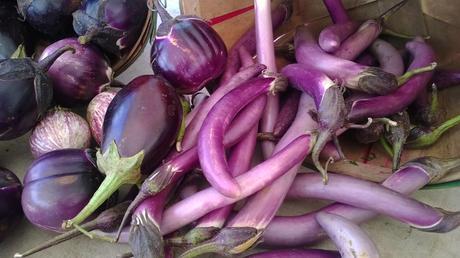 different varieties of eggplants