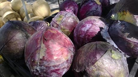 Purple cabbage!