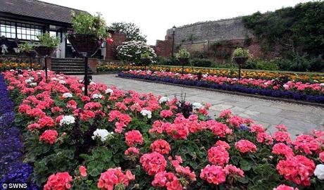 Keith Owen leaves fortune to a Devonshire town asking for a million flowers