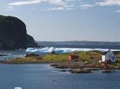 Newfoundland Labrador Jobs