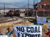 Stop Coal Train Tracks