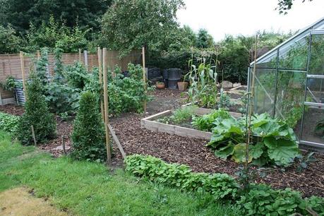 Kitchen Garden