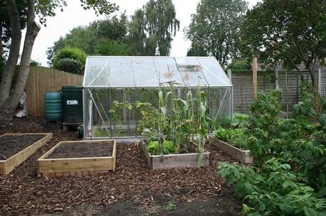 Kitchen Garden