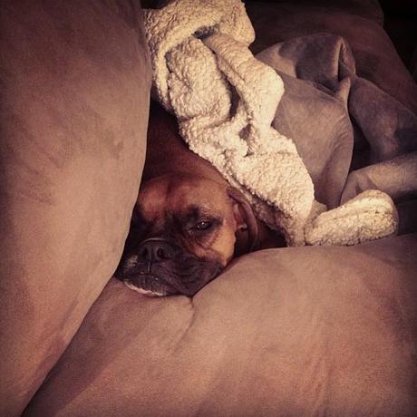 39 Week Bumpdate: The Last Bumpdate!!!