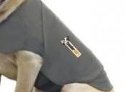 Help Calm Your with Thundershirt Anxiety Treatment