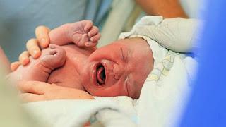 Sniffing babies' heads