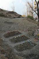 Nasrudin's donkey dies.