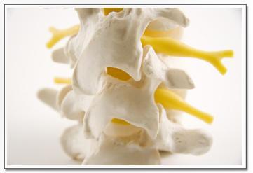 5 Chiropractic Myths Busted