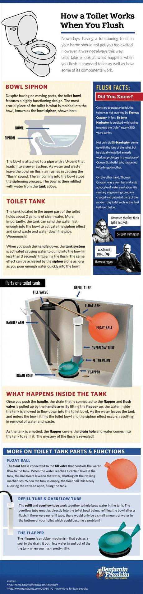 How a Toilet Works When You Flush Toilet Flush