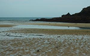 Maernporth Beach (photo: Amanda Scott)