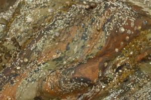 Rocks, Maernporth Beach (photo: Amanda Scott)