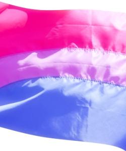 The_bisexual_pride_flag_3673713584-1