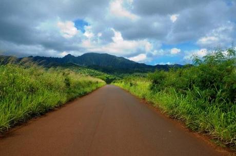 Hawaiian Dirt Road through the jungle