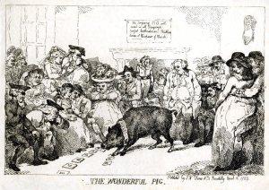 Rowlandson,_The_Wonderful_Pig,_1785