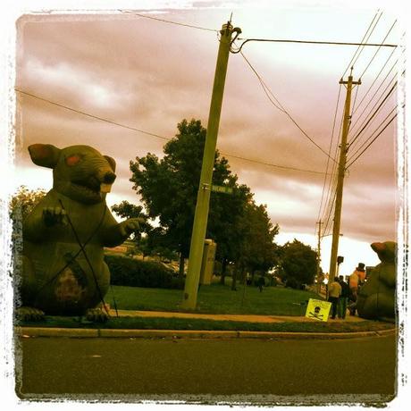 Storm-Clouds-and-Rats-Outside-Melville's-Costco