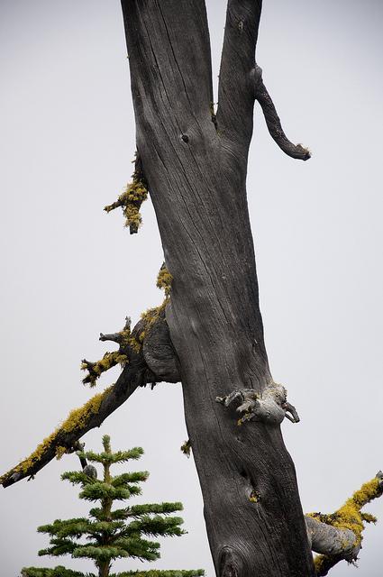 north cascade highway westcoast weekend