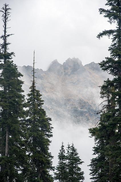 north cascade highway westcoast weekend