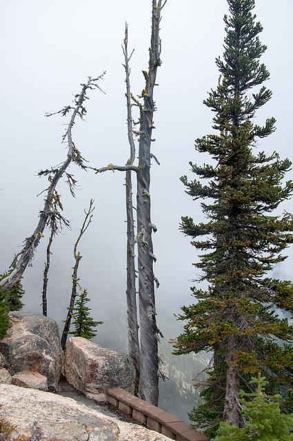 north cascade highway westcoast weekend