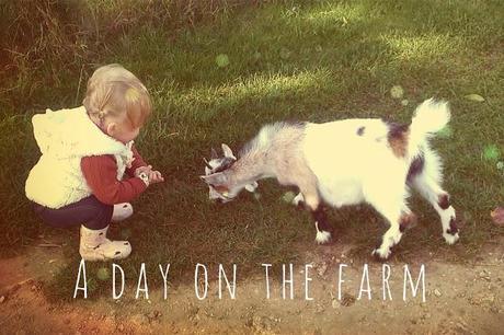 A Day At The Farm A Day At The Farm