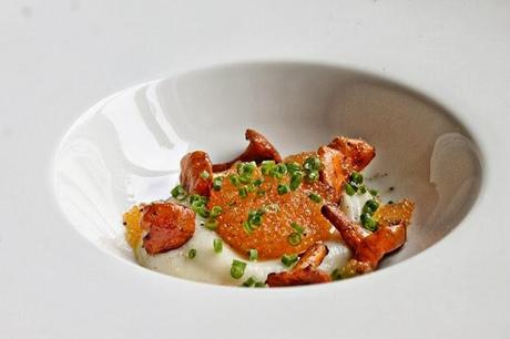 Chantarelles with bleak roe and Jerusalem artichoke cream #119