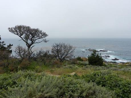 big sur-3