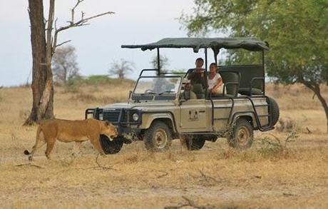 Kenya looks forward for Tourism – Assures Visitors it is Safe Place to Be